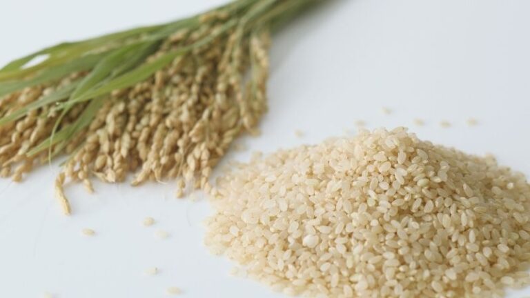 Cláusula de salvaguardia sobre el arroz: una llamada a la responsabilidad para defender a los arroceros europeos