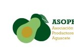 Primera jornada técnica sobre el cultivo clonal del aguacate en la Comunidad Valenciana.