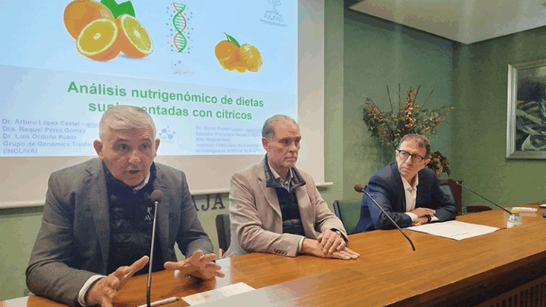 Un estudio pionero impulsado por INCLIVA y FUVAMA revela que incrementar la ingesta de naranja o mandarina en la dieta tiene un efecto notorio sobre el genoma y puede ofrecer nuevas claves para intervenciones en salud