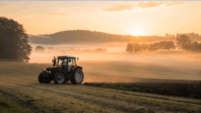 La UE refuerza la cooperación contra las prácticas comerciales desleales en la cadena agroalimentaria