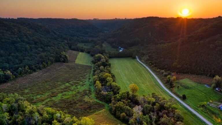 Las Organizaciones Profesionales Agrarias de Canarias exigen al Estado una modificación de crédito para cumplir con el POSEI adicional comprometido