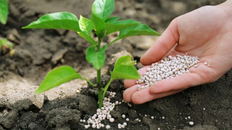 Impuesto sobre los fertilizantes del CBAM: ¿la gota que colma el vaso?