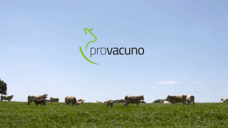 Provacuno DSS Manure, una app para la caracterización de los estiércoles de granjas de vacuno de carne
