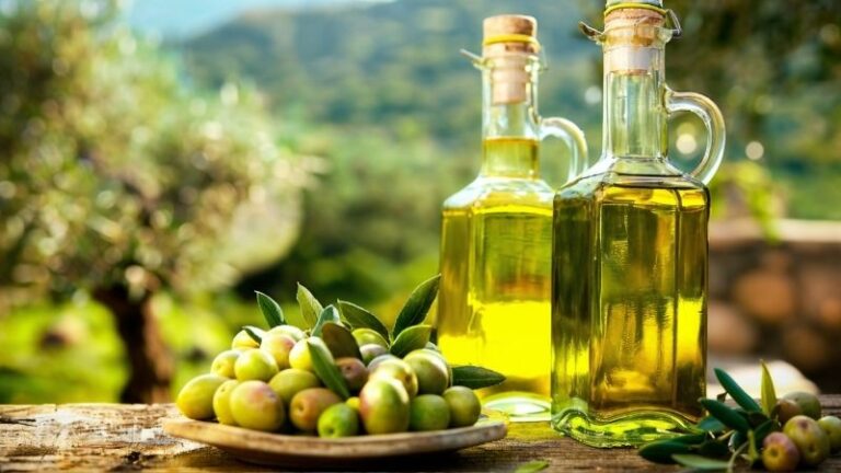 La campaña de comercialización de aceite de oliva 2025/26 arranca con muy buen ritmo en las salidas