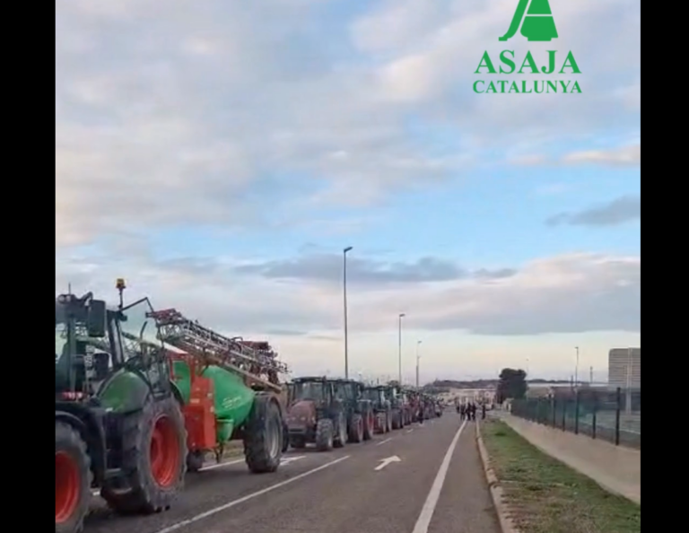 El campo dice basta: ASAJA Catalunya exige actuaciones immediatas contra la fauna descontrolada