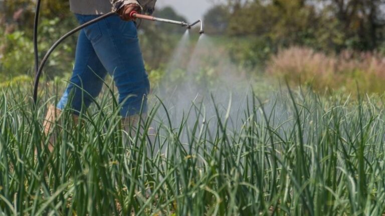 El sector agrario alerta: los ajustes del CBAM no frenan el riesgo de escasez y costes críticos en fertilizantes