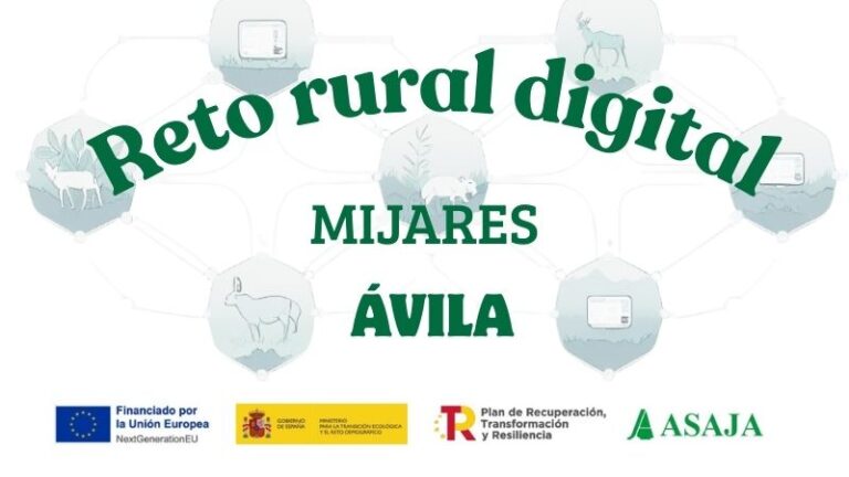 CURSO: Competencias digitales básicas