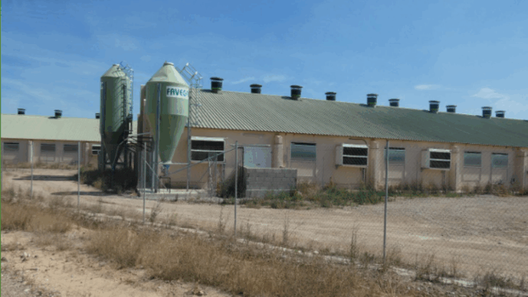 Recomendaciones de Bioseguridad frente a la Peste Porcina Africana: Un análisis detallado de Ganadería X