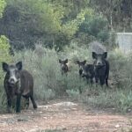 Reunión con el MAPA por la PPA