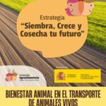 CURSO: Bienestar animal en el transporte de animales vivos