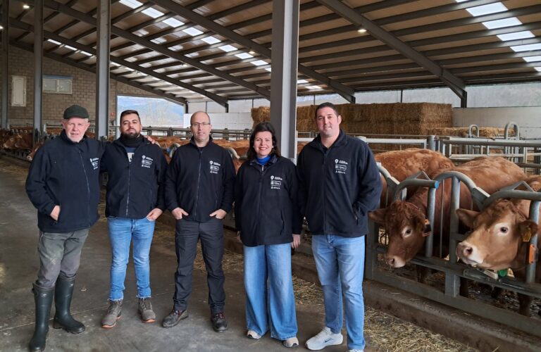 Programa CULTIVA. Ibiolimusin (Ibio, Cantabria): genética, bienestar animal y venta “km 0” en una ganadería modelo del Programa CULTIVA