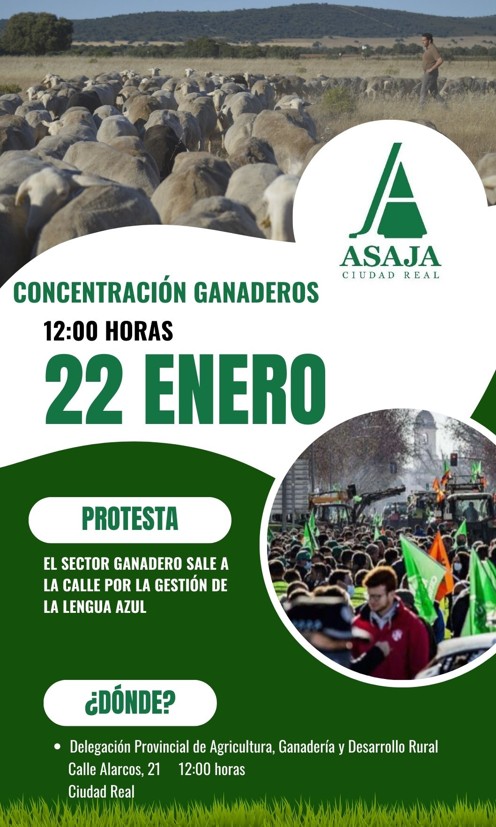 ASAJA Ciudad Real convoca una protesta el jueves 22 de enero por la gestión de la lengua azul