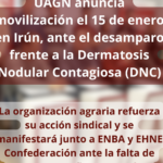 ASAJA Navarra UAGN anuncia movilización el 15 de enero en Irún ante el desamparo frente a la dermatosis nodular contagiosa (DNC)