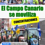 Canarias - Convocatoria de prensa