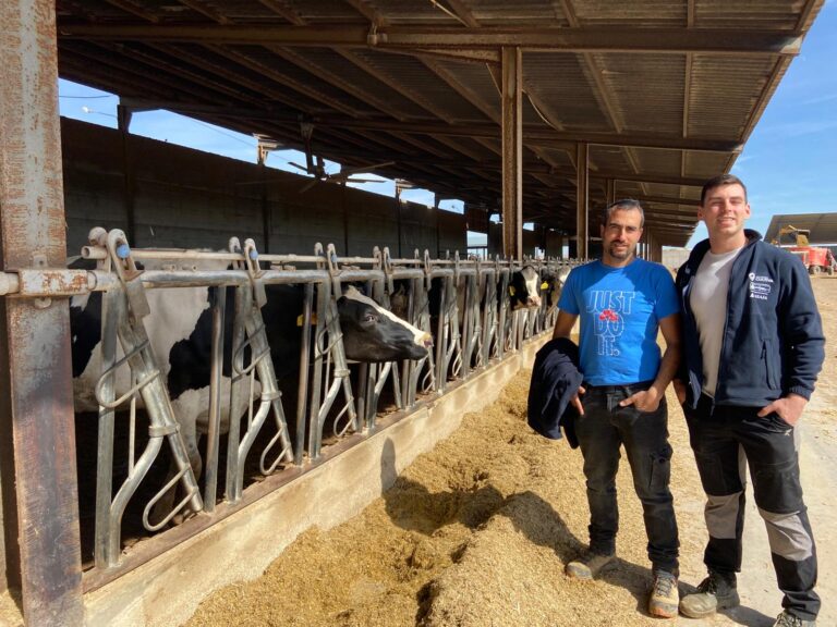 Programa CULTIVA. Integración, mecanización e innovación: un modelo ganadero de alta eficiencia