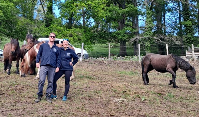 Programa CULTIVA: Ganadería extensiva en alta montaña: conservación, tecnología y producto local