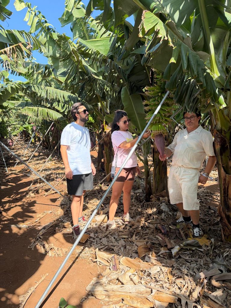 Programa CULTIVA. Agricultura tradicional adaptada al territorio: un modelo eficiente en Canarias
