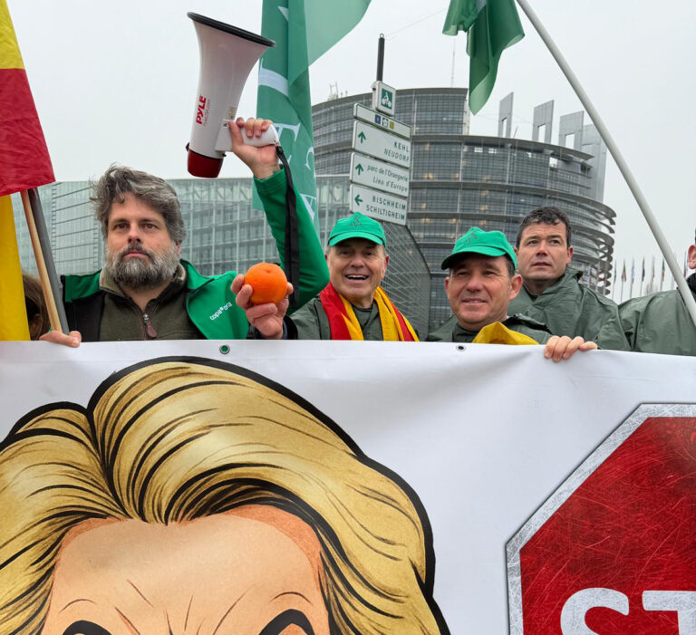 AVA-ASAJA celebra el aval del PE para someter el acuerdo de Mercosur a control jurídico