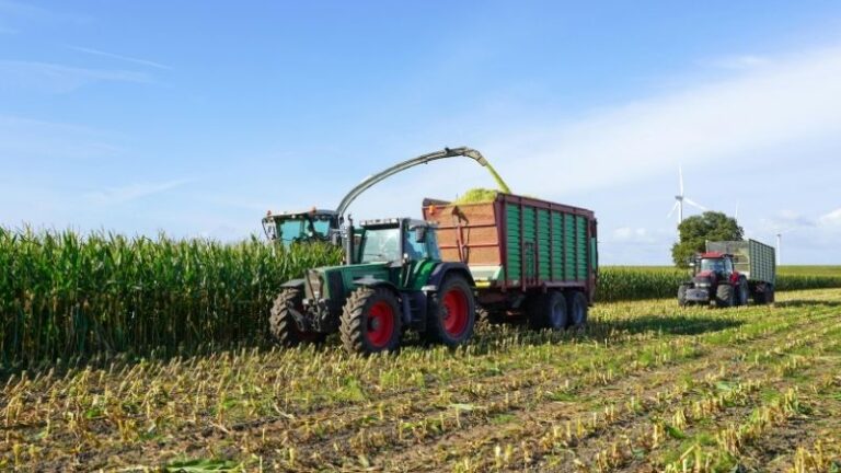 Soberanía energética y alimentaria: normas claras para liberar todo el potencial de los biocombustibles ahora