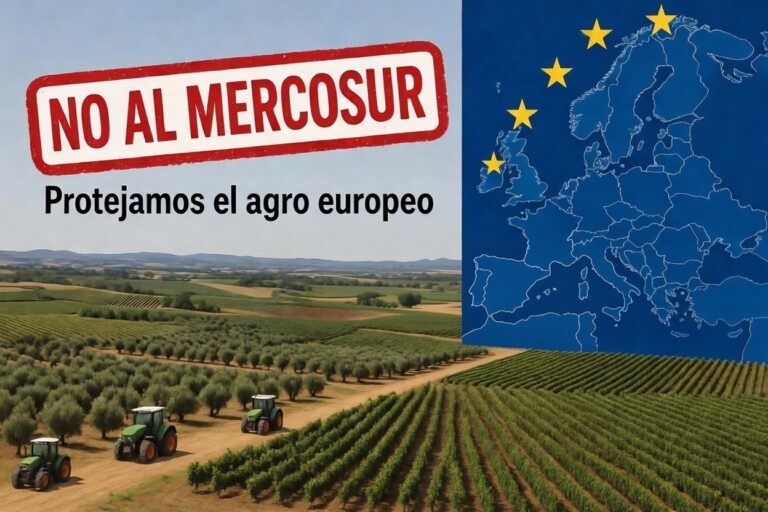 Las respuestas de la UE tras la movilización agraria siguen siendo insuficientes