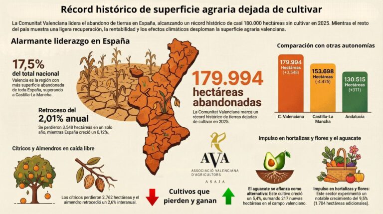 La C. Valenciana deja de cultivar 3.548 hectáreas en 2025 y bate el récord histórico de 180.000 hectáreas abandonadas