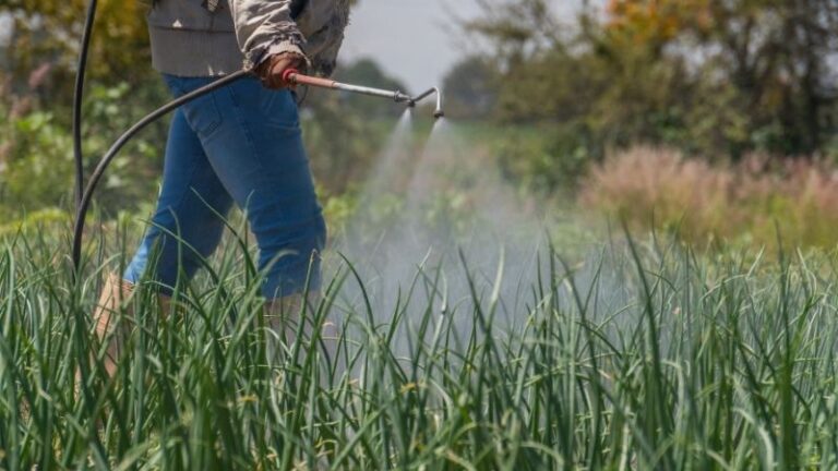 El MAFC (Mecanismo de Ajuste en Frontera por Carbono) provoca un desplome del 80 % en las importaciones de fertilizantes y enciende las alarmas en el sector agrario