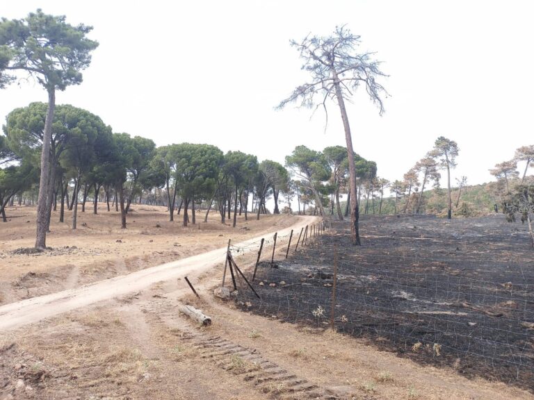 ASAJA Ávila exige el levantamiento inmediato de los pastos y reclama transparencia a la Junta