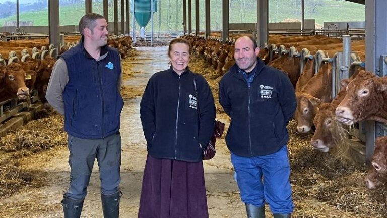 Programa CULTIVA. Ibiolimusin (Ibio, Cantabria): genética, bienestar animal y venta “km 0” en una ganadería modelo del Programa CULTIVA