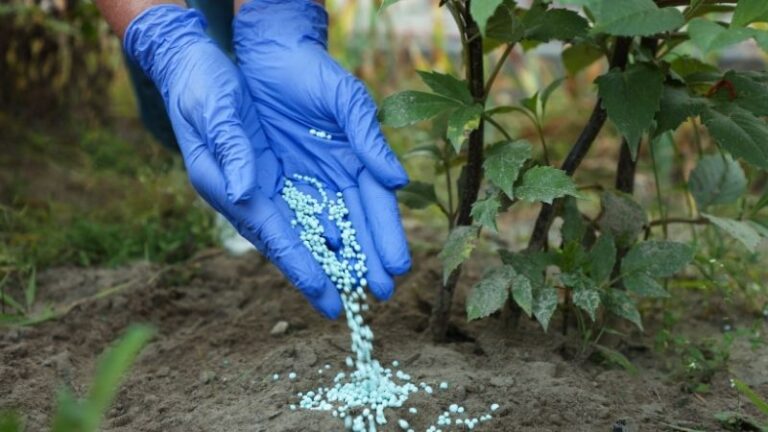 La aplicación del MAFC hunde un 80 % las importaciones de fertilizantes y amenaza la estabilidad agrícola en la UE