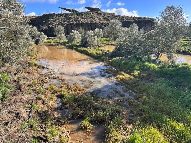 ASAJA Granada denuncia que el Gobierno excluye de las ayudas por el temporal a más de la mitad de la provincia