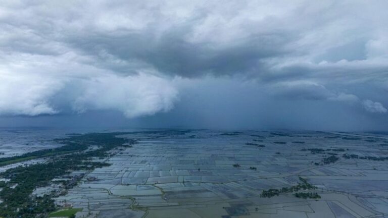 ASAJA Córdoba valora muy positivamente la ampliación del periodo para celebración de monterías suspendidas por las lluvias 