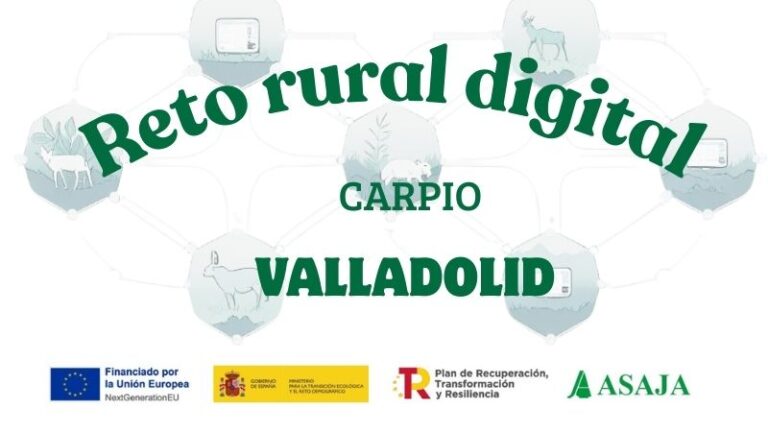 CURSO: Herramientas digitales básicas para el buen manejo de las explotaciones agrarias