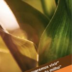 El IV Congreso Ibérico del Maíz. Barbastro (Huesca)