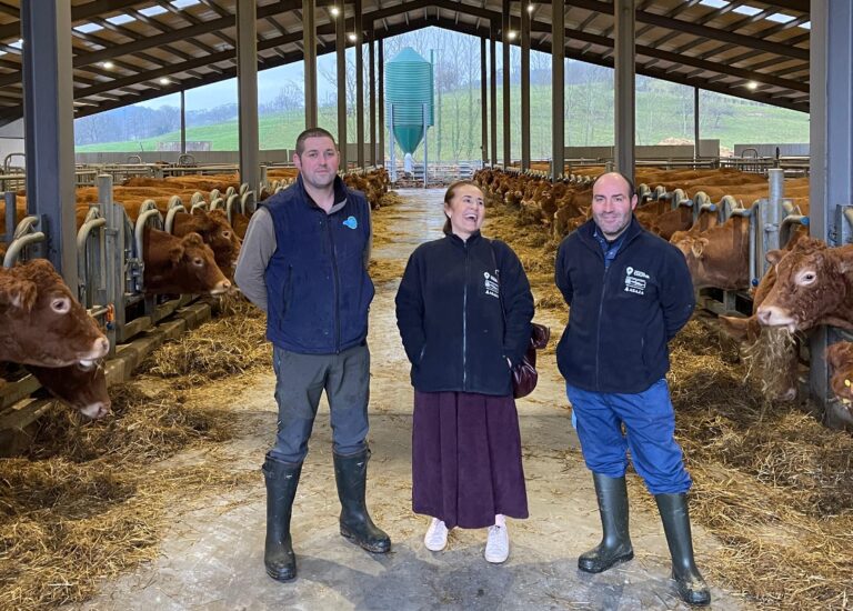 Programa CULTIVA. Ibiolimusin (Ibio, Cantabria): genética, bienestar animal y venta “km 0” en una ganadería modelo del Programa CULTIVA