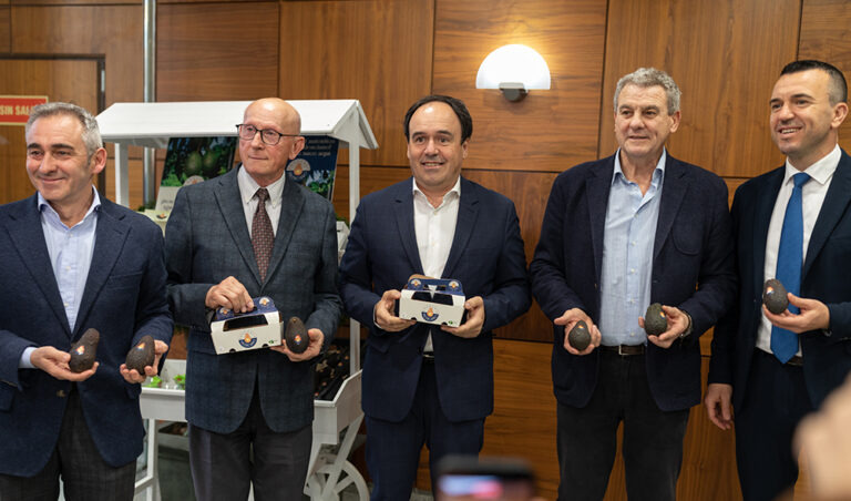 ASOPROA presenta la marca ‘Aguacate Valenciano’ como la “apuesta de futuro” del sector en la Comunitat