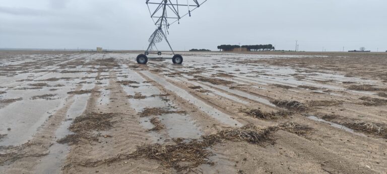ASAJA Ávila. Las lluvias recuperan los embalses pero agravan los daños en cultivos y explotaciones agrarias