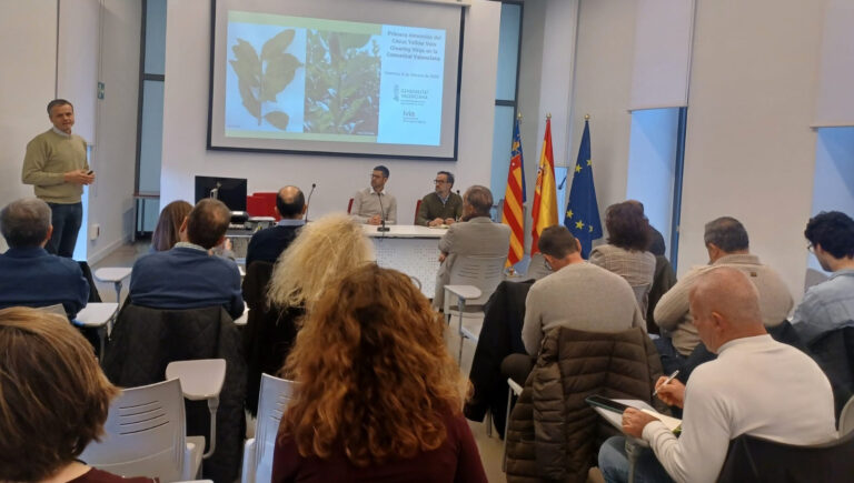 AVA-ASAJA respalda las medidas de Agricultura para frenar el virus de la clorosis nervial amarilla