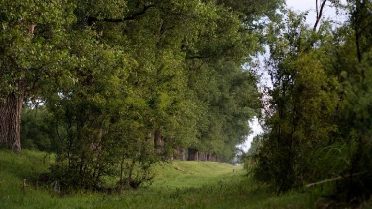 Asaja exige derogar o modificar el decreto de la ZEPA Alto Guadiato ante el bloqueo económico y la falta de ayudas