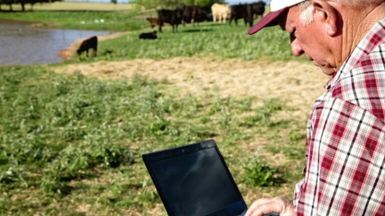 ASAJA Toledo reclama a Agricultura mayor agilidad en la tramitación de las ayudas agrícolas