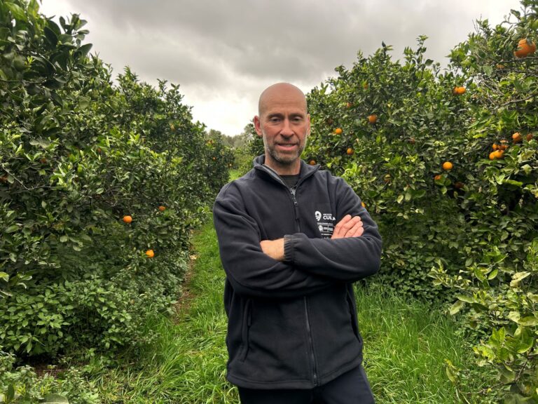 Un huerto valenciano abre sus puertas a colegios y turistas para dar a conocer la agricultura