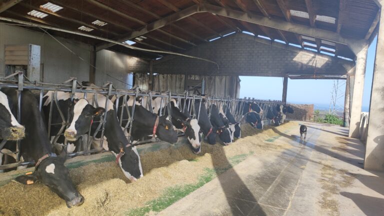 ASAJA Navarra UAGN denuncia la bajada del precio de la leche en los futuros contratos