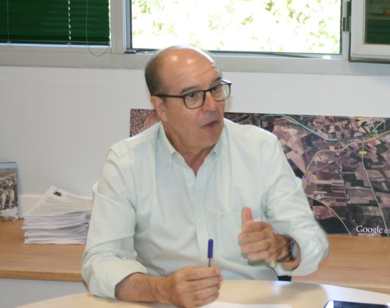 ASAJA Córdoba destaca que la producción de aceite de oliva en la provincia se sitúa muy por debajo de las previsiones