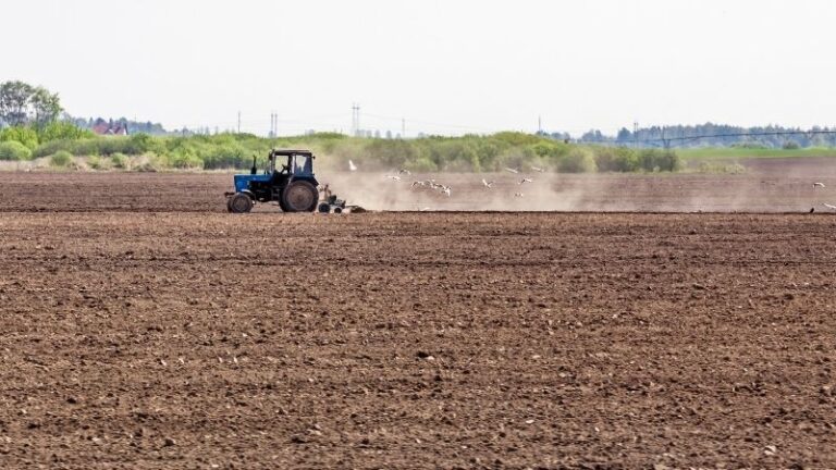 ASAJA Ávila exige responsabilidad política y el cumplimiento de las promesas electorales para garantizar el futuro del campo
