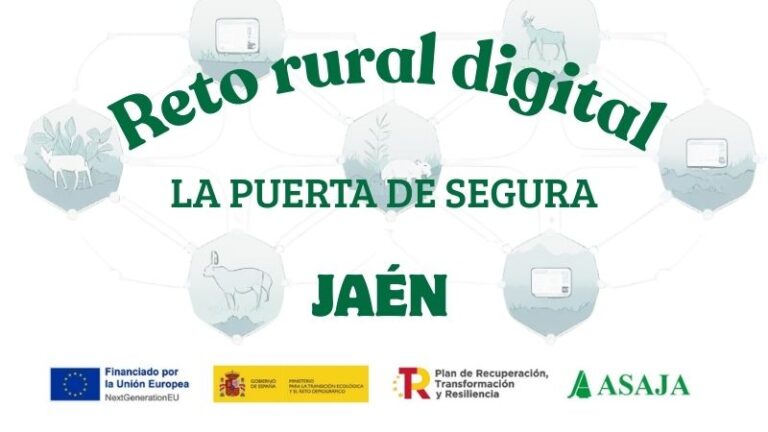 CURSO: Competencias digitales básicas
