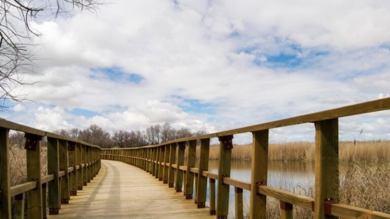 ASAJA Ciudad Real impulsa que se abra la compuerta del Molino de Molemocho en el Parque Nacional de las Tablas de Daimiel