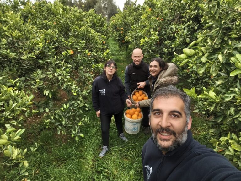 PROGRAMA CULTIVA. Una citricultura rentable en Godelleta: producción integrada y venta directa como modelo de negocio