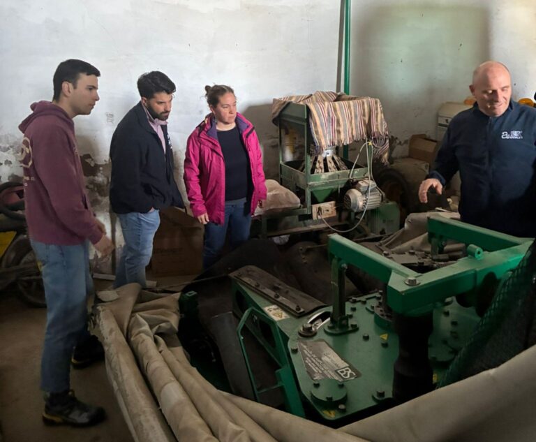 Ardales (Málaga): olivar de montaña, almazara familiar y marca propia en una explotación modelo del Programa CULTIVA