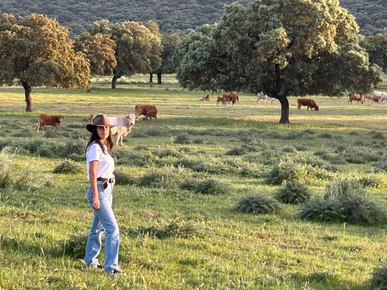 Chillón (Ciudad Real): ganadería extensiva ecológica, marca propia y agroturismo en una explotación modelo del Programa CULTIVA