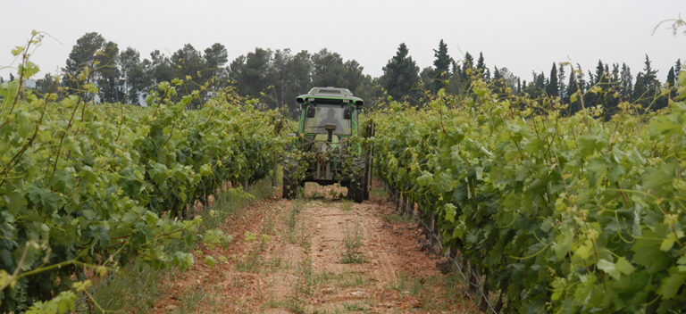 AVA-ASAJA pide rebajar la tensión por Irán ante los perjuicios para el sector agrario