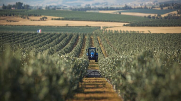 ASAJA espera que España apoye en Bruselas medidas clave para el campo en el Consejo de hoy
